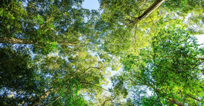 Eerste EPD (Environmental Product Declaration) is een feit