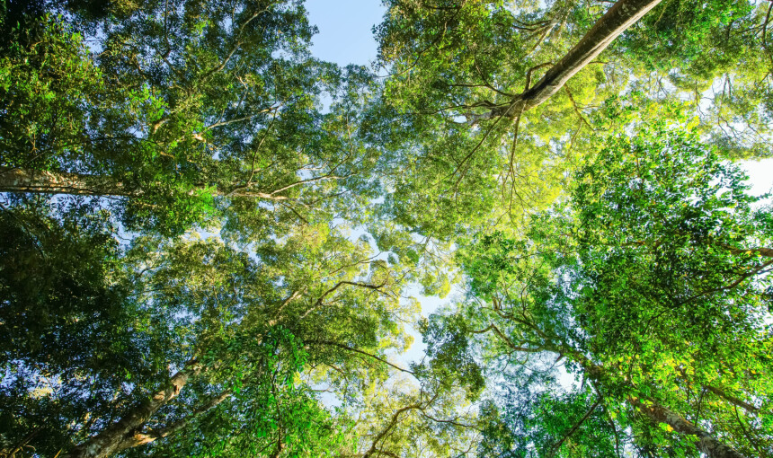 Eerste EPD (Environmental Product Declaration) is een feit